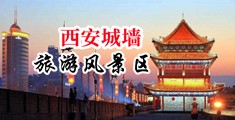 小嫩屄肏翻天免费视频播放中国陕西-西安城墙旅游风景区