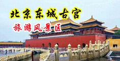 少妇被艹边骚叫中国北京-东城古宫旅游风景区